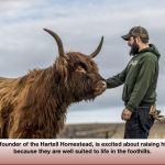 Owner Nick Shipley began selling meat from other operations but is now raising Highland cattle because they are well suited to life in the foothills.
