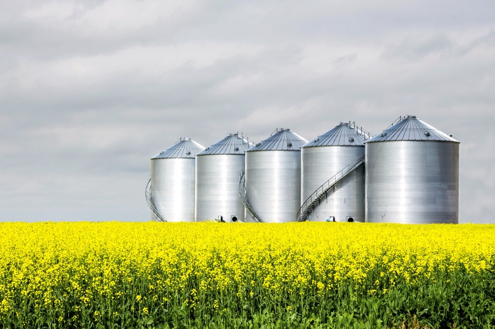 steel grain bins in a canola field