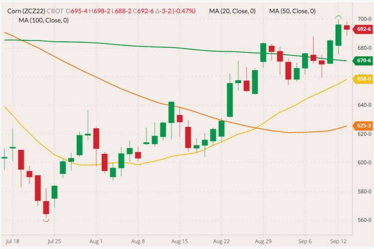 CBOT December 2022 corn (candlesticks) with 20-, 50- and 100-day moving averages (yellow, orange and green lines). (Barchart)
