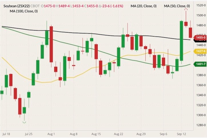 CBOT November 2022 soybeans (candlesticks) with 20-, 50- and 100-day moving averages (yellow, green and black lines). (Barchart)
