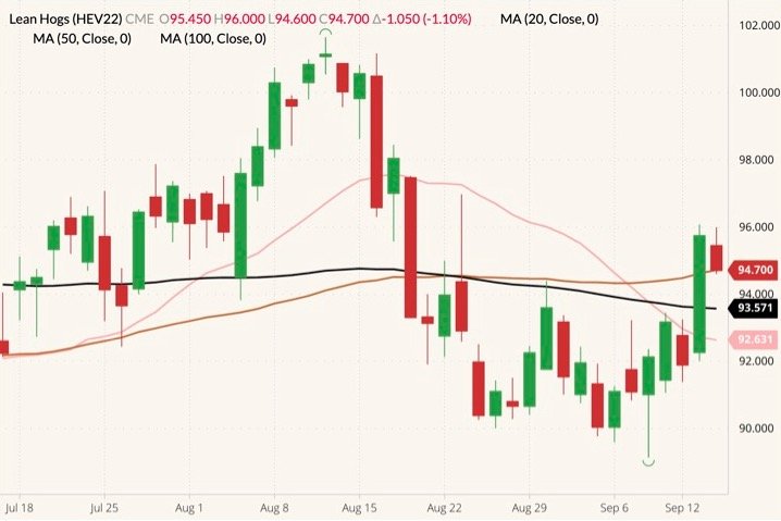 CME October 2022 lean hogs (candlesticks) with 20-, 50- and 100-day moving averages (pink, brown and black lines). (Barchart)
