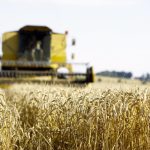 Harvest is bringing upbeat reports
