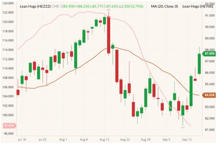 CME December 2022 lean hogs (candlesticks, right column) with 20-day moving average (brown line) and CME cash lean hog index (pink line, left column). (Barchart)
