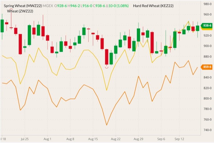 MGEX December 2022 spring wheat (candlesticks) with K.C. December 2022 hard red wheat (yellow line) and CBOT December 2022 soft red wheat (orange line). (Barchart)
