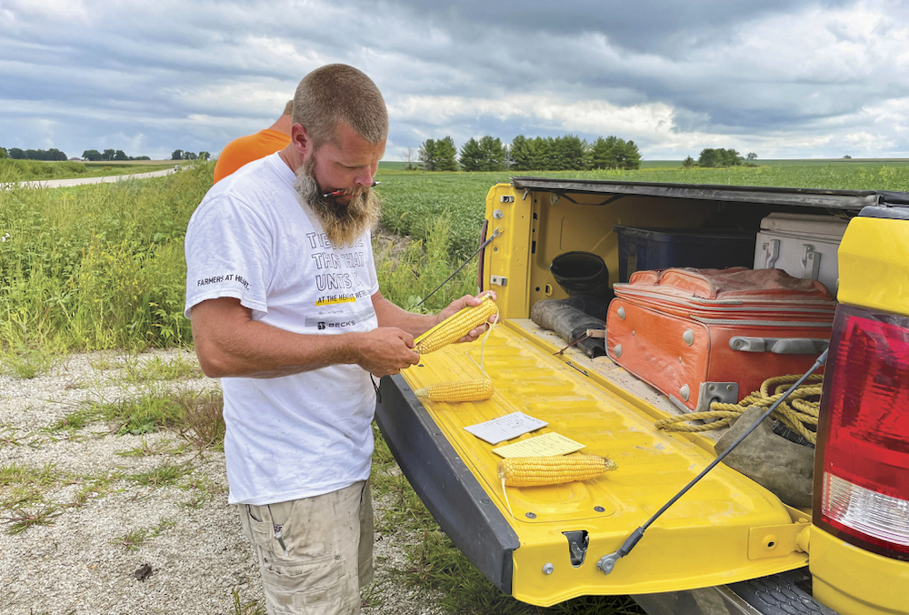 Crop scout Luke Mullet measures ears of corn on the Pro Farmer Midwest Crop Tour in Iowa in late August. Tour participants were surprised by the lower-than-expected corn yields and that’s important because corn is considered “the king of grains” and a leading indicator of future prices, said market analyst Errol Anderson.