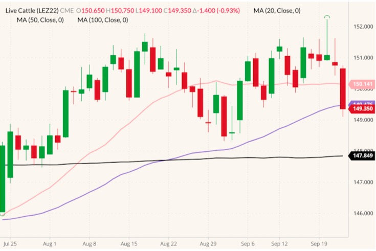 CME December 2022 live cattle (candlesticks) with 20-, 50- and 100-day moving averages (pink, purple and black lines). (Barchart)
