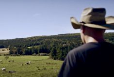 Canada is “the perfect place in the world for raising beef” says this promotional video from Canada Beef. But those wide-open spaces are one of the challenges Alberta Beef Producers faces in recruiting delegates.