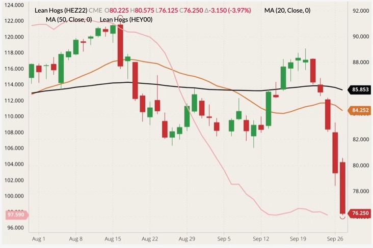 CME December 2022 lean hogs (candlesticks) with 20- and 50-day moving averages (brown and black lines, right column) and CME cash Lean Hog Index (pink line, left column). (Barchart)
