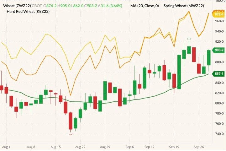 CBOT December 2022 soft red winter wheat (candlesticks) with 20-day moving average (green line), MGEX December 2022 hard red spring wheat (yellow line) and K.C. December 2022 hard red winter wheat (orange line). (Barchart)
