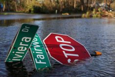 After Hurricane Ian made landfall in southwestern Florida, a street sign lies in flood waters at Punta Gorda, about 40 km north of Fort Myers, on Sept. 29, 2022. (Photo: Reuters/Shannon Stapleton)
