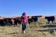 The federal government’s inaction on long-standing calls to set up a Canadian foot-and-mouth vaccine is baffling and “extremely frustrating,” says Melanie Wowk, chair of Alberta Beef Producers. “No country is going to import anything from us – live or dead.”