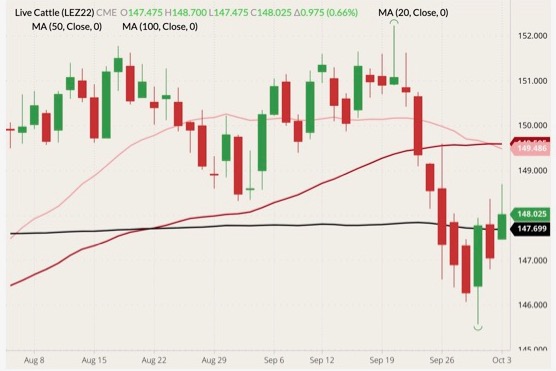CME December 2022 live cattle (candlesticks) with 20-, 50- and 100-day moving averages (pink, red and black lines). (Barchart)
