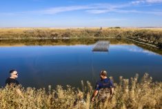 Daniel Karran (left) and Steven Tannas deploying the floating islands and securing them into place on the feedlot. 