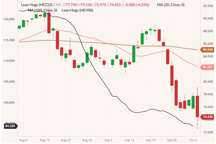 CME December 2022 lean hogs (candlesticks) with 20- and 100-day moving averages (pink and brown lines, right column) and CME cash Lean Hog Index (black line, left column). (Barchart)
