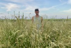 Fields with higher soil organic matter are more resilient during drought, and since dry conditions result in half of crop insurance payouts, it’s worth considering whether organic matter should be a factor when calculating premiums, says Stuart Chutter, a product coordinator with Agriculture Financial Services Corporation.