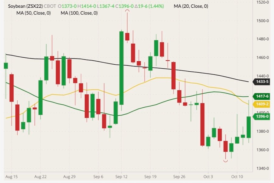 CBOT November 2022 soybeans (candlesticks) with 20-, 50- and 100-day moving averages (yellow, green and black lines). (Barchart)
