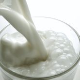 At least one company in the U.S. already supplies animal-free protein made from microflora, which is then used to make ice cream, protein powder and milk.