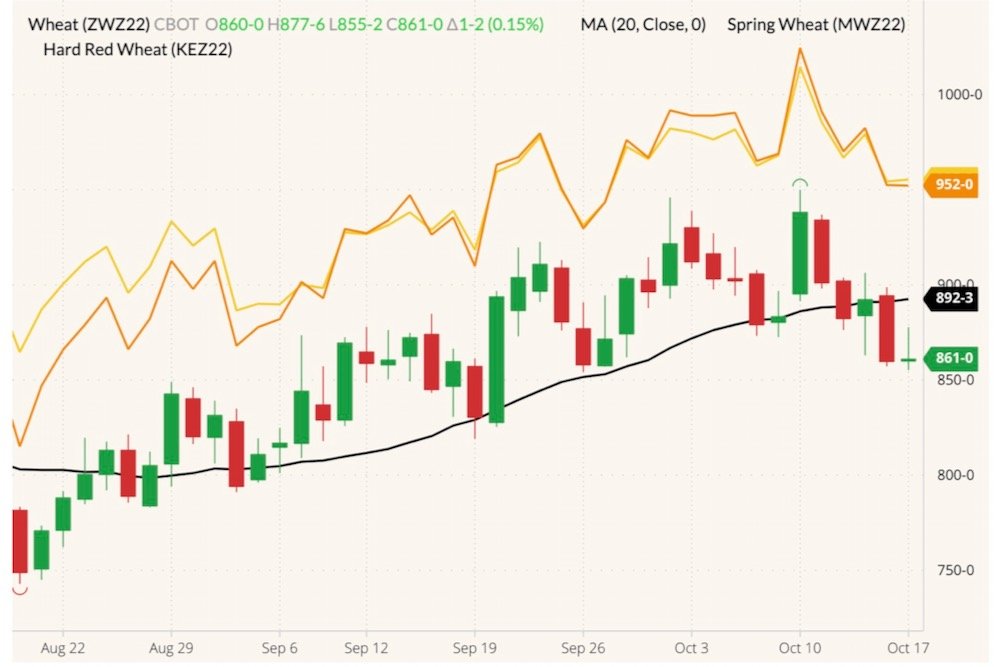 CBOT December 2022 soft red winter wheat (candlesticks) with 20-day moving average (black line), MGEX December 2022 hard red spring wheat (yellow line) and K.C. December 2022 hard red winter wheat (orange line). (Barchart)
