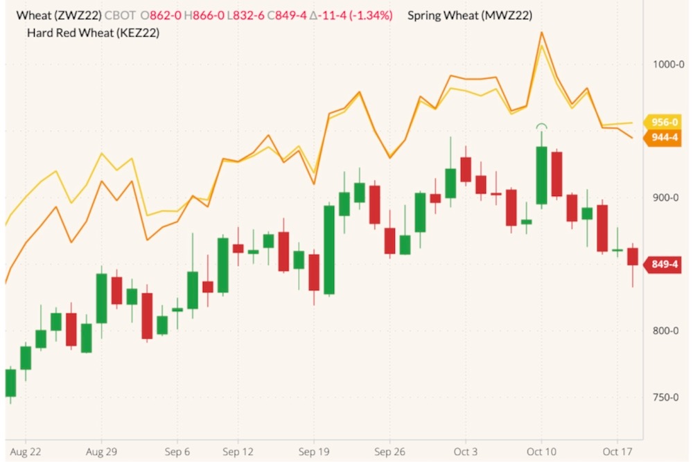 CBOT December 2022 soft red winter wheat (candlesticks) with MGEX December 2022 hard red spring wheat (yellow line) and K.C. December 2022 hard red winter wheat (orange line). (Barchart)

