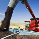 The canola market outlook this year is more complicated and unsettled than ever, but the traditional advice still applies: manage your risk.