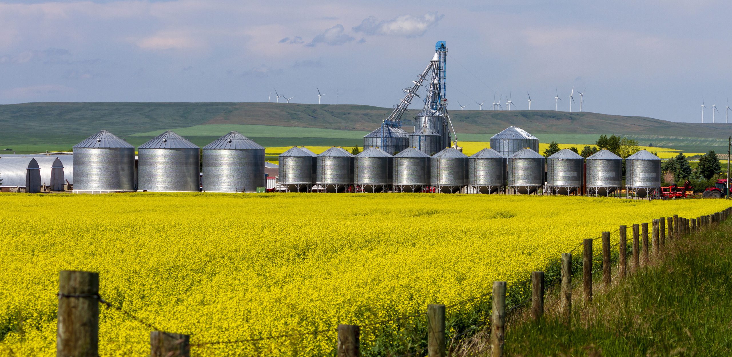 Landscape of yellow canola field in bloom with agricultural equipment storage containers in the Canadian Prairies small town of Pincher Creek, Alberta, Canada.