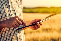 farmer holding wheat