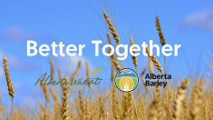 Wheat and barley farmers urged to vote on proposed merger