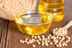 Bunge’s refined and specialty oils segment turned in stronger quarterly earnings in the Americas and Europe.  Photo: Thinkstock
