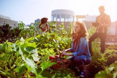 Might ‘Big Food’ gain too much control over growers in the future if it takes over the little guys?