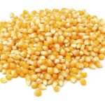 Photo: Thinkstock