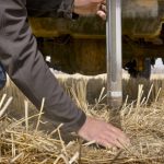 A quick video primer on soil sampling