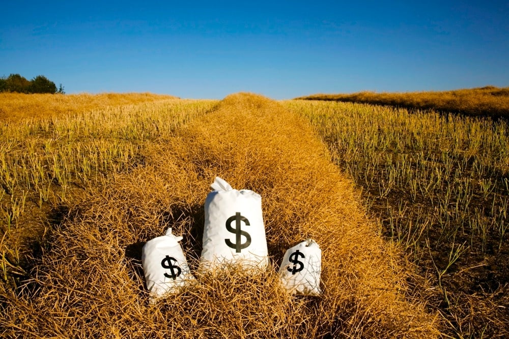 Photo: Thinkstock
