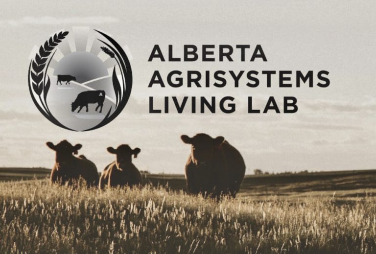 Research with a twist Farmers in the driver’s seat in Living Lab