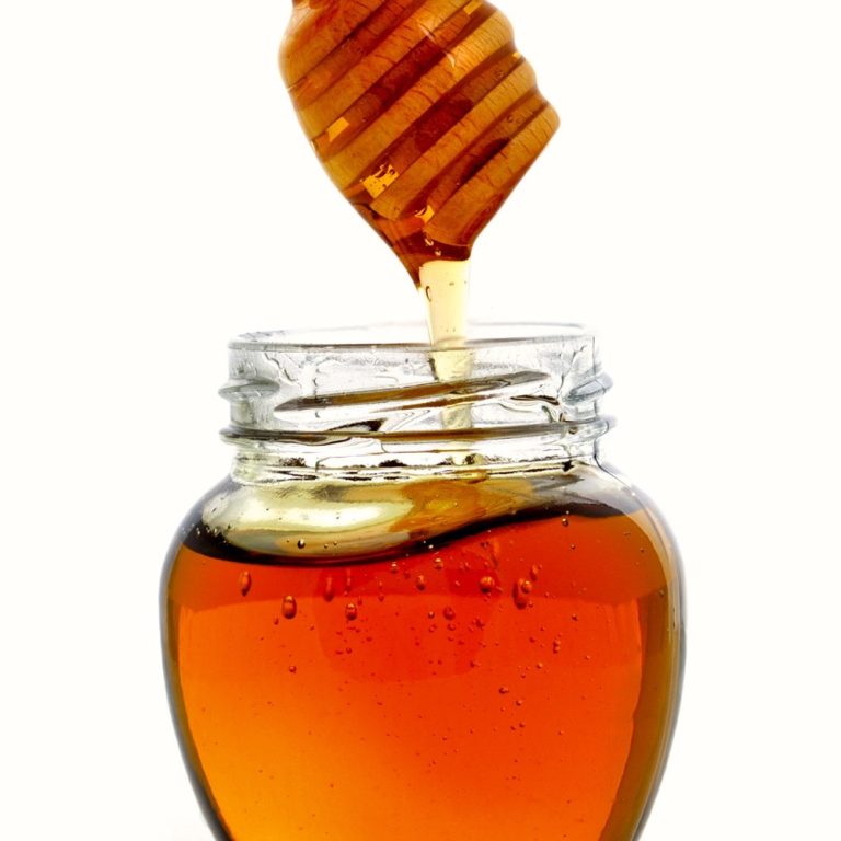 The Use Of Medicinal Honey In Wound Care Of Horses Fortune Honey