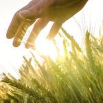 ‘The only way the commercialization of carbon sequestration works is when the farmer takes control and sets the terms of an annual or short-term agreement.’ – Brenda Schoepp.