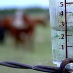 Much of Alberta’s bone-dry ground was replenished by the “fantastic recharge” from the June rains, said an analyst with AFSC.