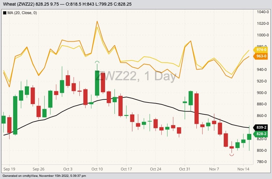 CBOT December 2022 soft red winter wheat (candlesticks) with 20-day moving average (black line), MGEX December 2022 hard red spring wheat (yellow line) and K.C. December 2022 hard red winter wheat (orange line). (Barchart)
