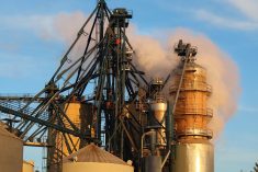 File photo of steam rising from the top of a grain dryer. (Diane Kuhl/iStock/Getty Images)
