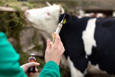 Digital medicine promises better vet access