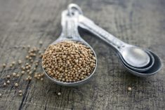 (JohnnyMad/Getty Images)
