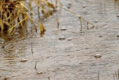 What if statistical models for crop yields are measuring the wrong type of moisture?