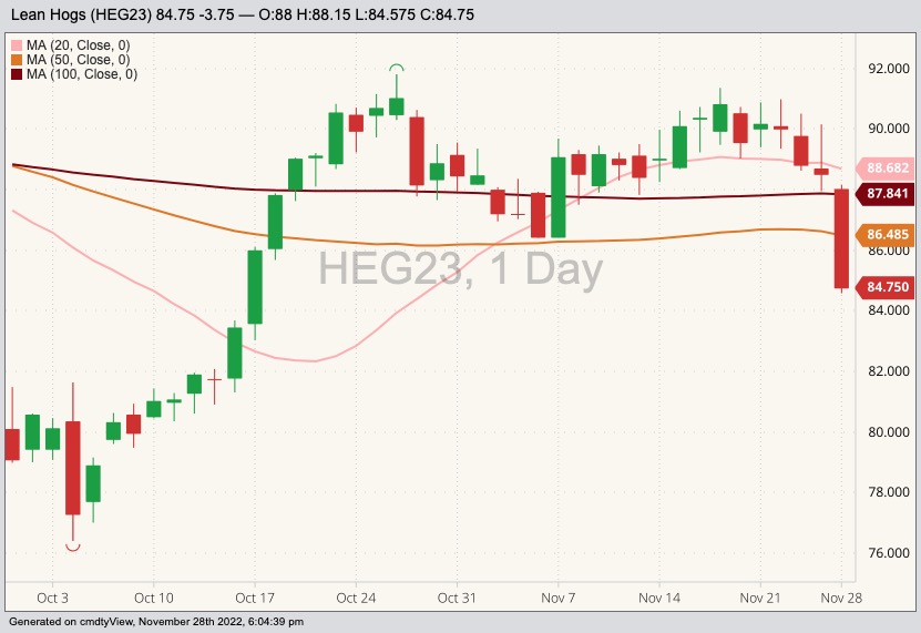 CME February 2023 lean hogs with 20-, 50- and 100-day moving averages. (Barchart)
