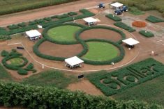 (Stoller Group video screengrab via YouTube)
