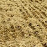 Standard choppers are frequently not large enough to spread residue effectively and harrows can create residue clumping, says agronomy consultant Phil Needham.