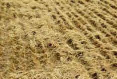 Standard choppers are frequently not large enough to spread residue effectively and harrows can create residue clumping, says agronomy consultant Phil Needham.