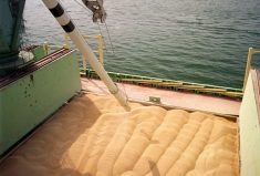 Country elevators have taken in a lot more wheat so far this crop year but global markets are quickly soaking it up.