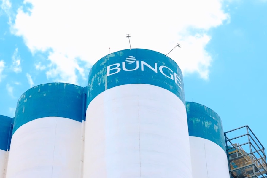 (Bunge video screengrab via Vimeo)
