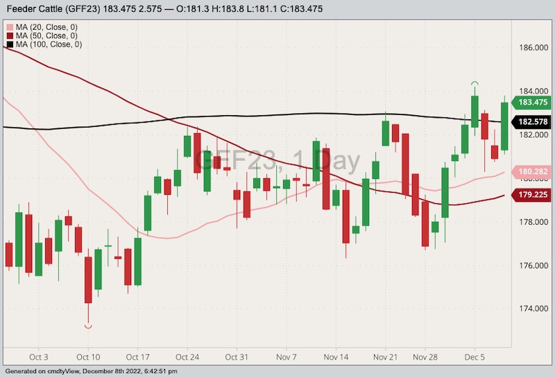 CME January 2023 feeder cattle with 20-, 50- and 100-day moving averages. (Barchart)

