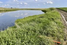 Saying there are no pesticide runoff problems and proving it are two different things. But extensive and independent testing and lab analysis found pesticide residues were well below prescribed limits.