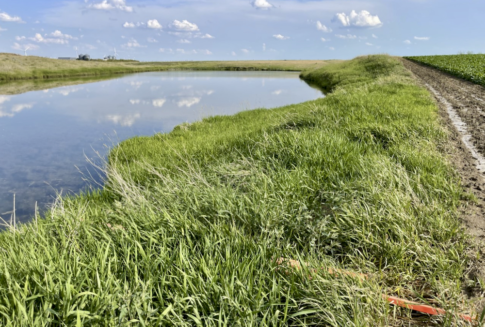 Saying there are no pesticide runoff problems and proving it are two different things. But extensive and independent testing and lab analysis found pesticide residues were well below prescribed limits.